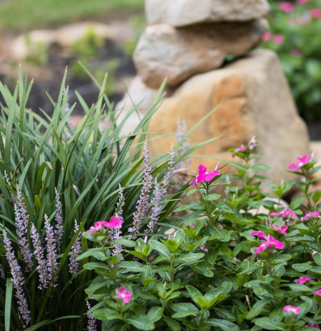 Vineyard Court Designer Suites Hotel College Station Exterior photo