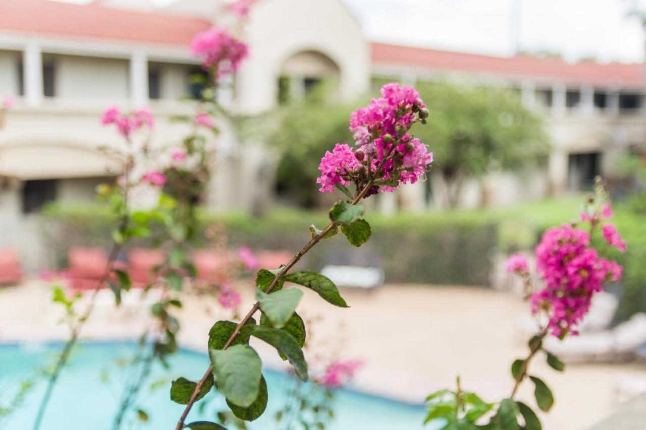 Vineyard Court Designer Suites Hotel College Station Exterior photo